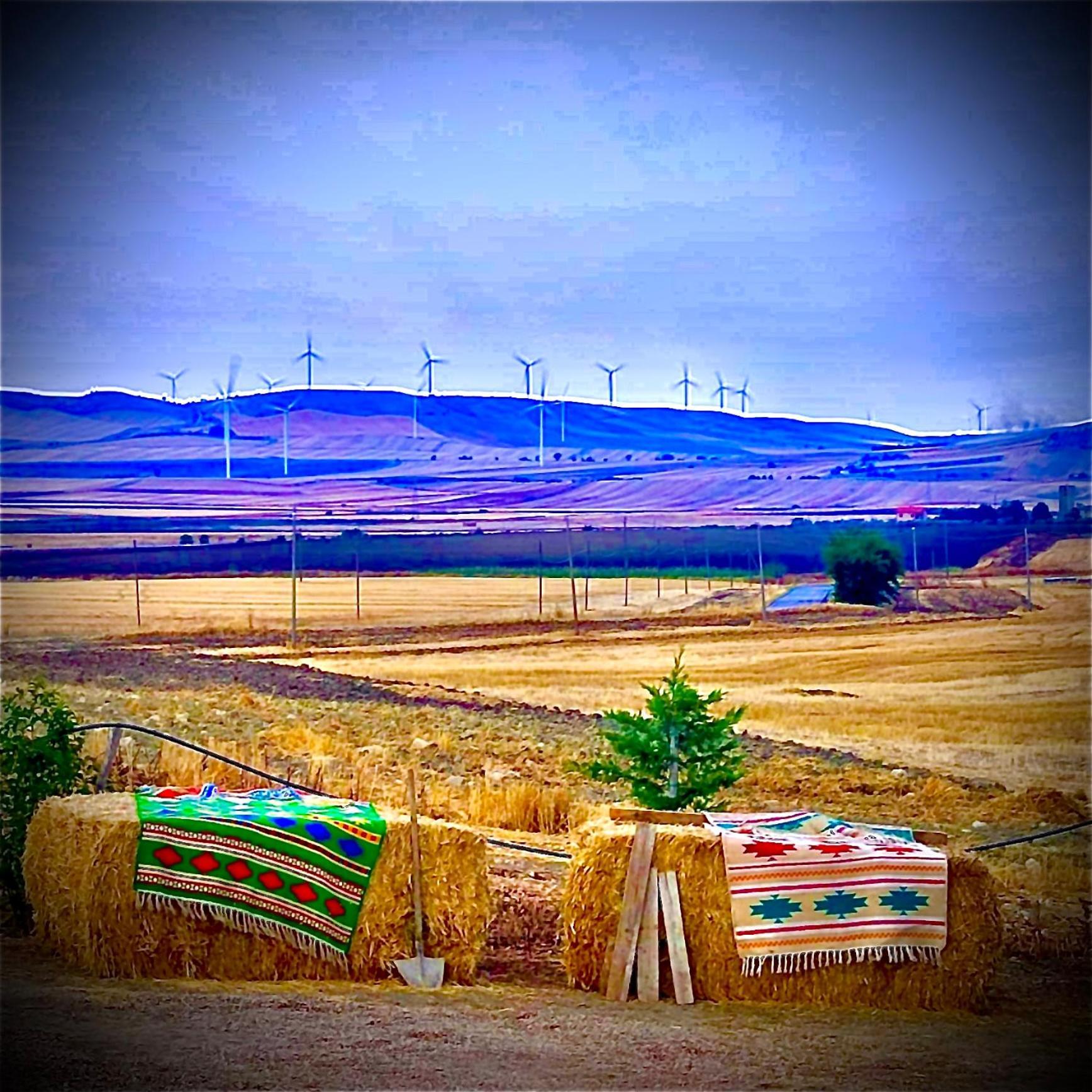 Antica Masseria Il Casone Candela Bagian luar foto